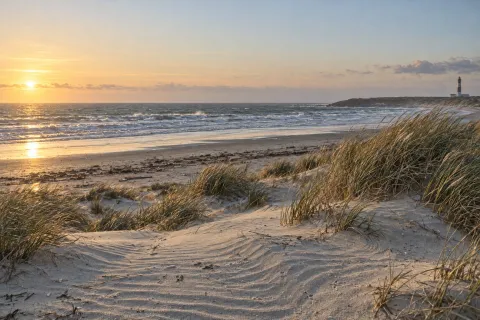 Коллекция ASCOMAX COAST